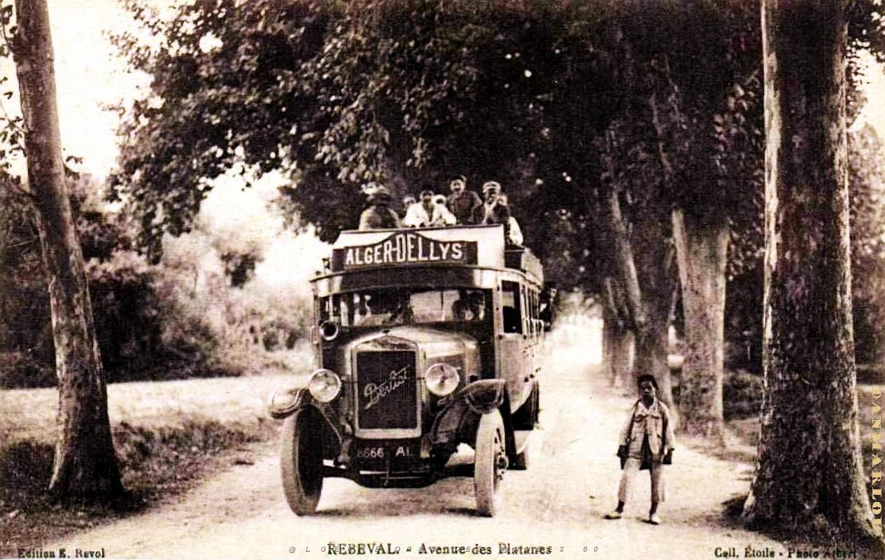 2658- Rebeval - Avenue des Platanes1.jpg
